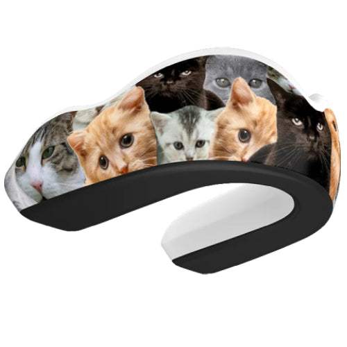 EXTREME IMPACT BOIL AND BITE - Kitty CATastrophy EI - mmafightshop.ae